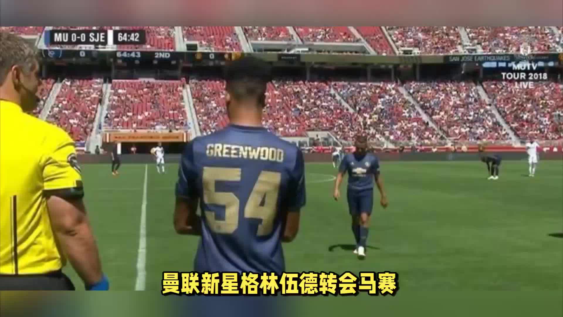 个是核